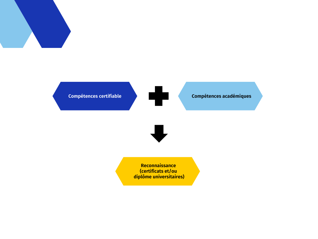 Schéma conceptuel de développement des curricula du CURI